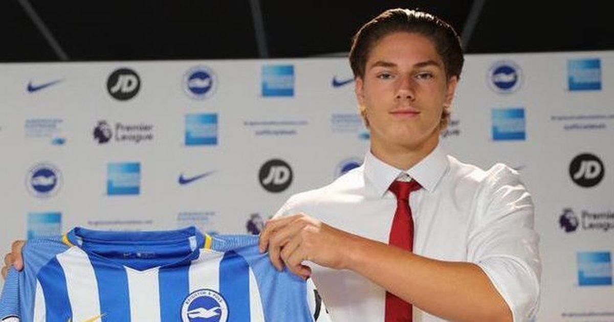 Record-breaking Brighton striker opens up on injury nightmare after his return - SussexLive