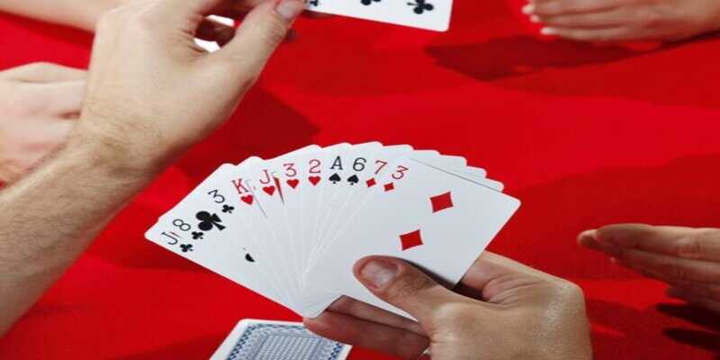 Làm thế nào để dụ lợn đỏ đến làm thịt? – Những mẹo thiết yếu để thu hút lợn