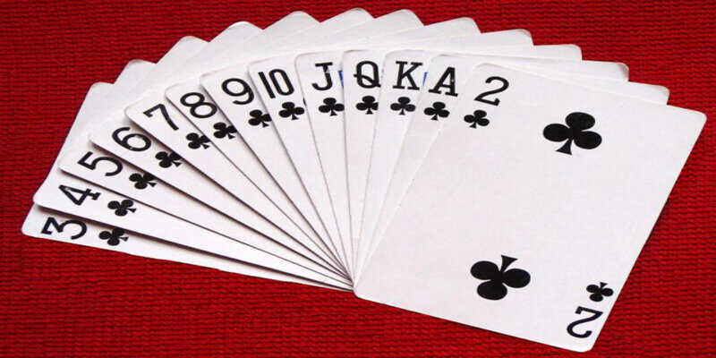 Làm thế nào để dụ lợn đỏ đến làm thịt? – Những mẹo thiết yếu để thu hút lợn